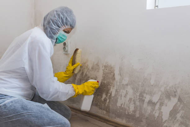 Mold Remediation for Vacation Homes in Kings Park, VA